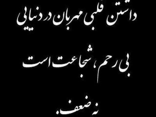 ویدئو :    کفتر گرفتار و شهروند فداکار -دی دیل