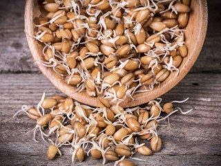 با جوانه گندم، از گرفتگی در سرخرگ ها جلوگیری کنید