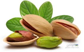 ویدئو :     راهی اسان برای کاشت پسته از دانه