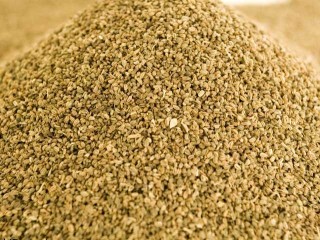 همه چیز درمورد خاصیت های تخم کرفس