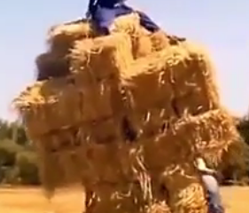 ویدئو :  حوادث خنده دار-قسمت 1