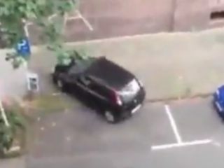 ویدئو :   چند صحنه دیدنی