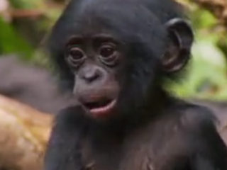 ویدئو :  داستان زندگی با دوبله فارسی