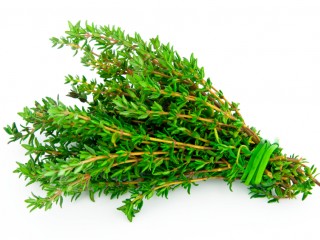 آشنایی با خواص درمانی و دارویی گیاه آنخ