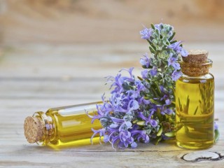 تاثیر روغن رزماری در تقویت حافظه کودکان