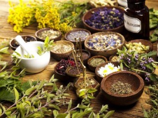 گیاهان دارویی برای چه خانمهایی مناسب است؟