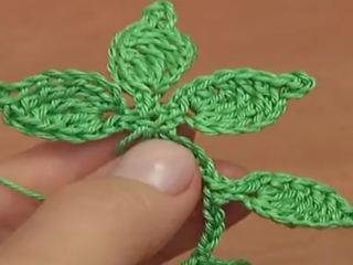 ویدئو :  آموزش بافت شاخه برگ