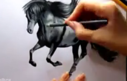 ویدئو :  یه نقاشی فوق العاده از اسب سیاه سه بعدی از دستش ندید!