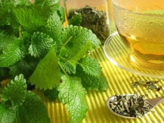 عرقیات گیاهی مفید و مضر در دوران بارداری