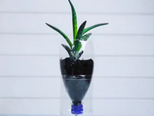 ویدئو :  آموزش ساخت وسایل جالب با قوطی نوشابه [تماشا کنید]