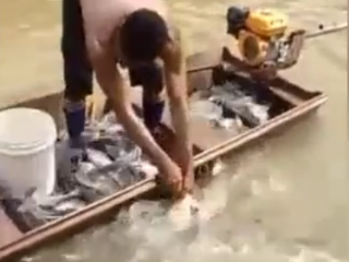 ویدئو :  ماهیگیری به ظالمانه ترین روش _دی دیل