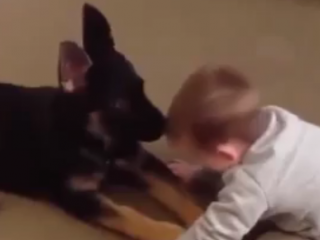 ویدئو :  بچه ها و حیوانها