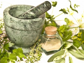 گیاه تشنه داری برای التیام زخم