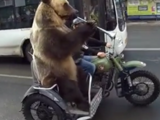 ویدئو :   صحنه ای که فقط در روسیه دیده می شود