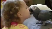 ویدئو :   دوستی جالب بین کودکان با طوطی ها