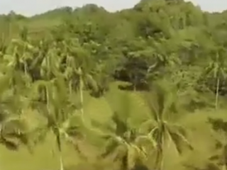 ویدئو :   اگر شکلات دوست دارید به این تپه ها بروید!