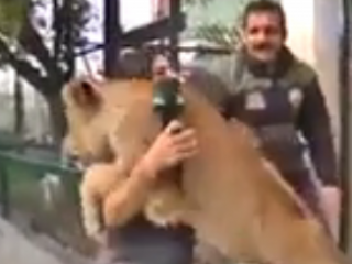 ویدئو :   محبت فوق العاده و بغل کردن زن توسط شیر