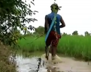 ویدئو :   شکار باورنکردنی کروکدیل در مرداب توسط یک کودک