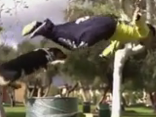 ویدئو :  سگ پارکورباز