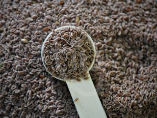 بررسی فواید مصرف اسفرزه و نحوه مصرف آن