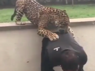 ویدئو :   دوستی جالب بین ببرخطرناک و انسان