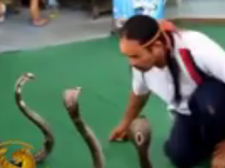 ویدئو :   فیلم های ضبط شده عجیب و حیرت انگیز