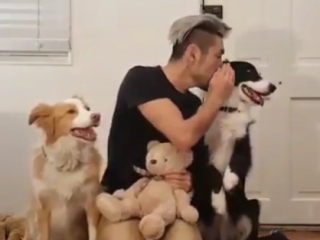 ویدئو : این سه تارو ببین