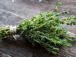 مصرف آویشن برای درمان مشکلات تنفسی