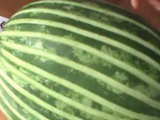 ویدئو :   تزیین هندوانه - مخصوص شب یلدا