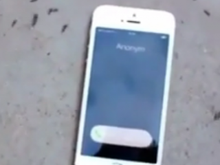 ویدئو :   تاثیر امواج موبایل روی مورچه ها !