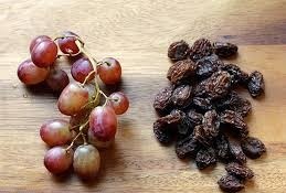 انگور و مویز چاره کم خونی