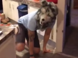 ویدئو :   واکنش هاسکی به صاحبش با ماسک سگ