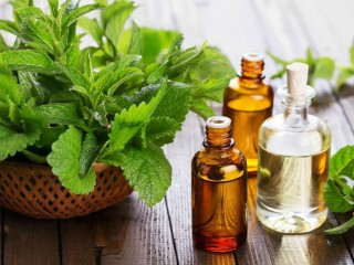 10 خاصیت کم نظیر روغن نعناع