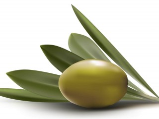 روغن زیتون منبع غنی آنتی اکسیدان ها