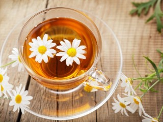 خاص ترین گیاهان برای بهبود حافظه