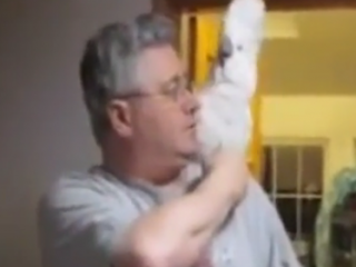 ویدئو :   جدال لفظی دیدنی بین طوطی و صاحبش