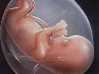 ناهنجاریهای جنین را چگونه تشخیص دهیم