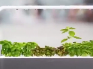 ویدئو :   تاثیر گجت های هوشمند در ایجاد هوای پاک