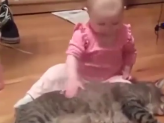 ویدئو :  گربه هایی که عاشق بچه هان!