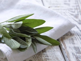 نحوه مصرف مریم گلی