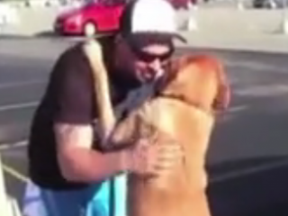 ویدئو :   این ویدیو نشون میده که واقعا سگها عاشق صاحباشون میشن