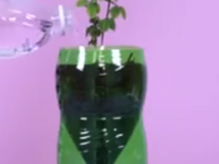 ویدئو : خلق کاردستی های پرکاربرد با بطری های پلاستیکی