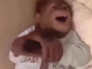 ویدئو : حیوانات بامزه