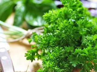 خواص جعفری فرنگی، تقویت دستگاه ایمنی و کاهش کلسترول