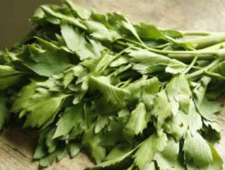 خواص انجدان، ضد آلرژِی و تقویت سلامت کلیهها