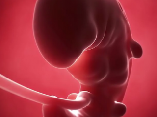 ویدئو :  4 سفر 9 ماهه کودک در رحم مادر : تکامل جنین در رحم