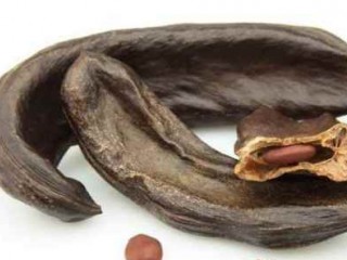 خرنوب چیست و چه خواص درمان دارد؟