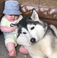 ویدئو :   این ویدئو حالتان را خوب می کند