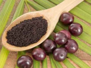 5 مورد از خواص برتر نخل آسای در طب سنتی