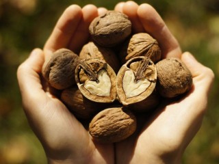 فایده گردو برای نوزادان، افراد دیابتی و زنان باردار